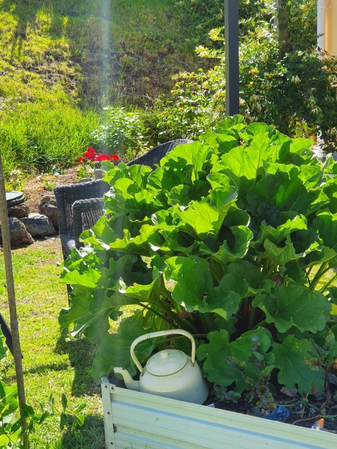 Kerikeri Blue Chair B&B Екстериор снимка
