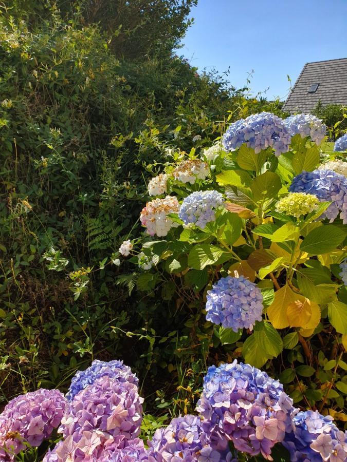 Kerikeri Blue Chair B&B Екстериор снимка